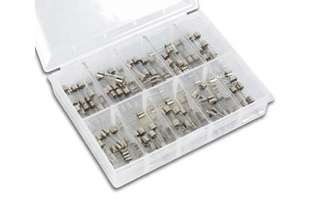 Juego de fusibles lentos - 100 uds. - 5 x 20 mm