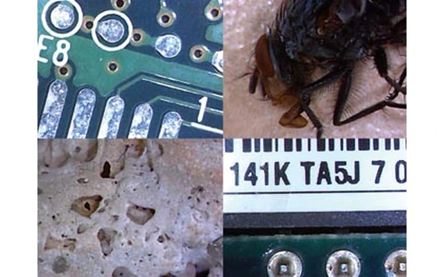 Microscopio USB