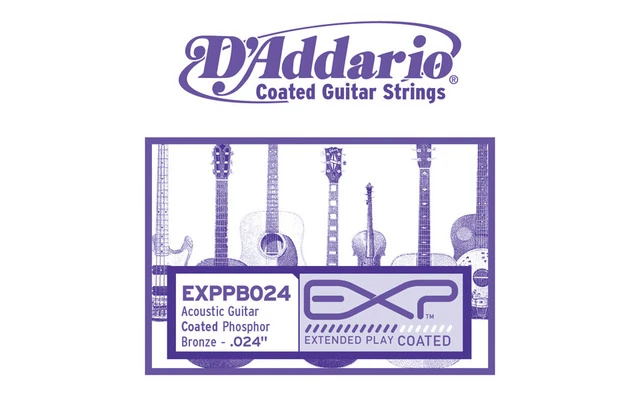 DAddario EXPPB039