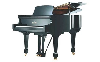 Bechstein B 160 1/4 Cola  negro poliester