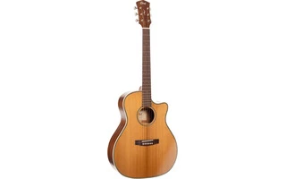Cort Guitars ESSENCE-GA4 Nsg