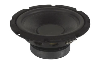 Subwoofer negro para altavoz, 10