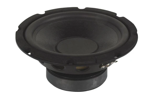 Subwoofer negro para altavoz, 10