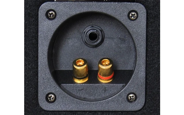 SL18 Caja acustica disco 18