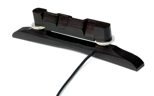 Fishman M-300