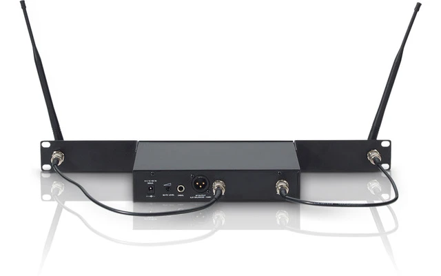 LD Systems WS 100 RK