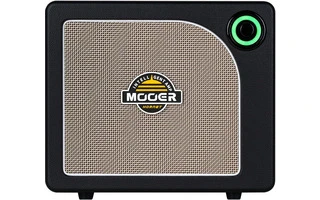 Mooer Hornet 15i