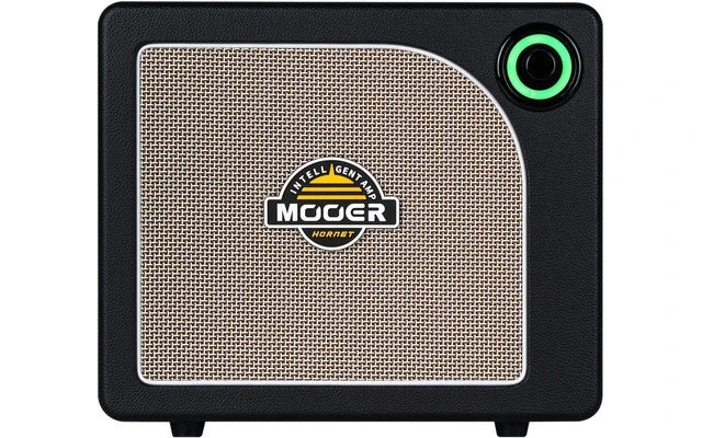 Mooer Hornet 15i