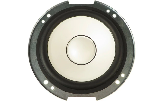 Altavoz woofer 5