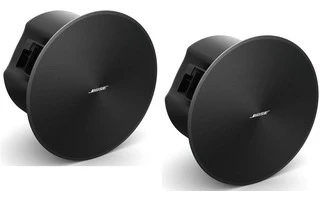 Bose DesignMax DM6C