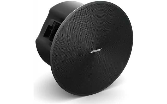 Bose DesignMax DM6C