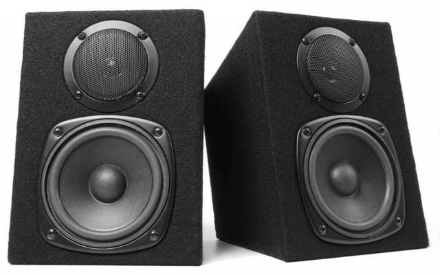 Fenton Juego de altavoces pasivos tipo monitor 2x 100W