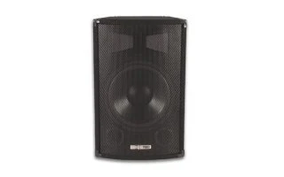 Caja acustica Profesional 10" de 2 vías - VDSG10 - Liquidación