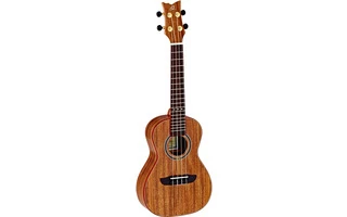 Ortega RUACA-CC