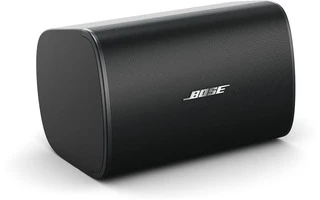 Bose DesignMax DM6SE