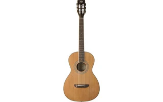 Washburn WP11SNS