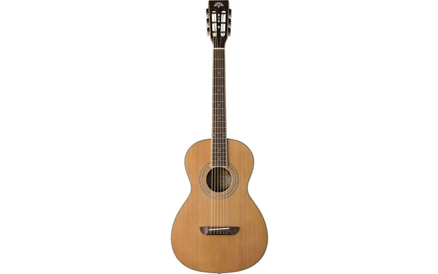 Washburn WP11SNS
