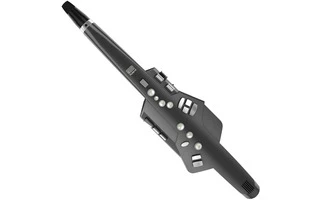 Roland Aerophone AE-10G