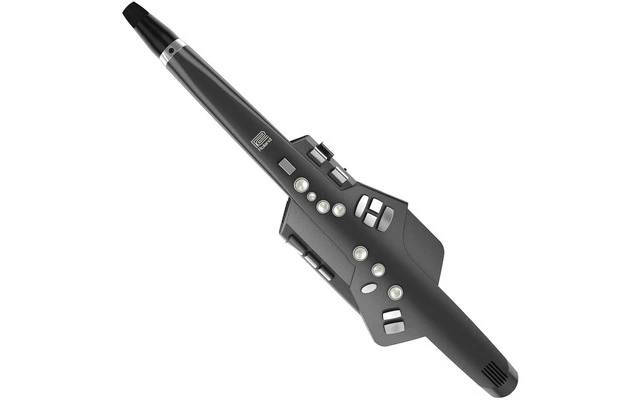 Roland Aerophone AE-10G