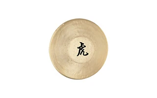 Sonic Energy TG-125