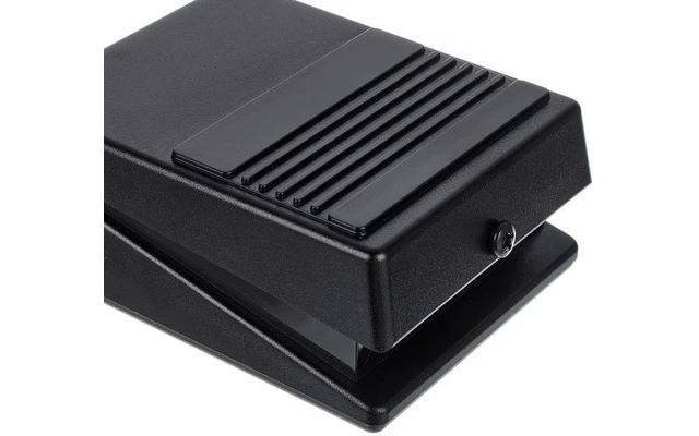 Roland DP-2