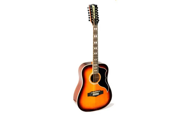 EKO Guitars Ranger XII VR Honey burst