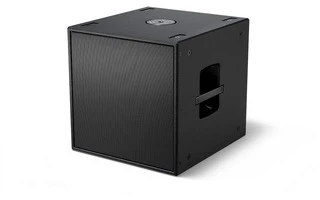 Bose Pro AMS 115