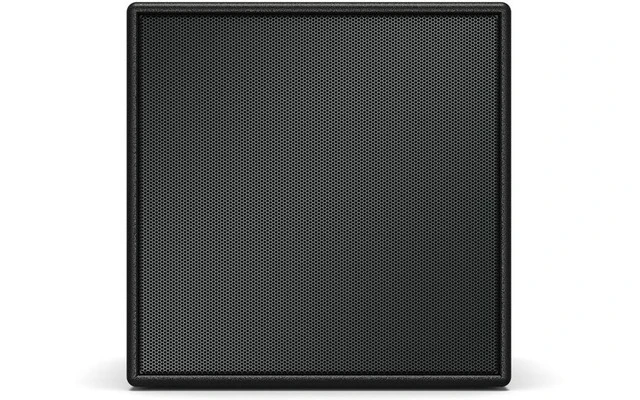 Bose Pro AMS 115