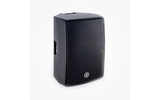 ANT Audio RedFire 12