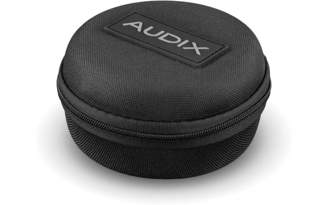 Audix TM2