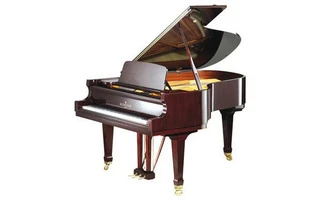 Bechstein B 190 1/2 Cola  negro poliester