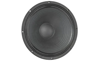 Eminence Delta Pro 15 A