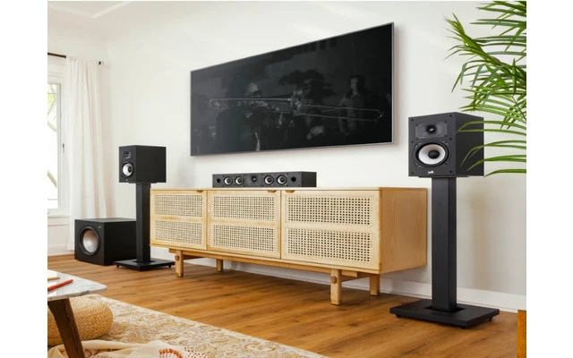 Polk Audio MXT 20