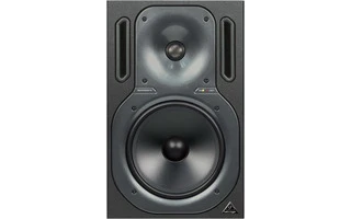 Behringer B2031A