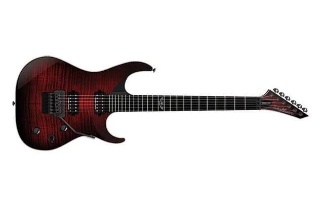 Washburn PXS-10FRDLX WB
