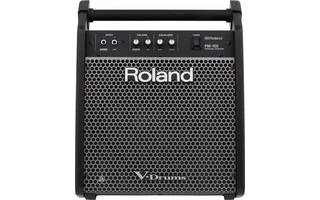 Roland PM 100