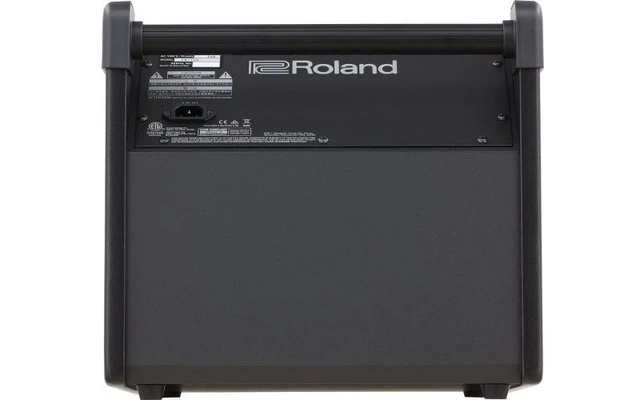 Roland PM 100