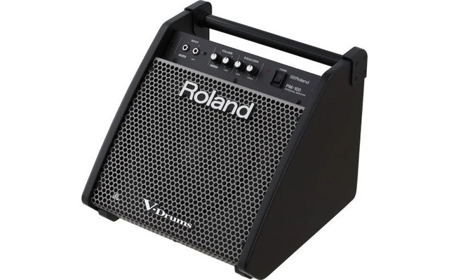 Roland PM 100