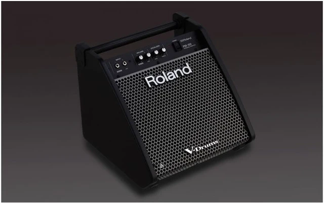 Roland PM 100