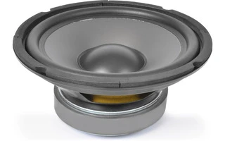 Fenton Woofer HI-FI cono PP 25cm 125W