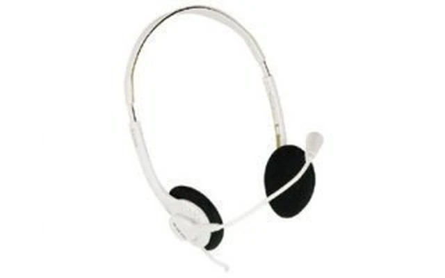 Conjunto auricular / micro profesional