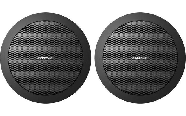 Bose Pro FreeSpace FS2C