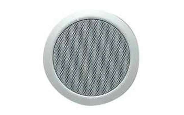 Acoustic Control C-8 100V - 8 OHM
