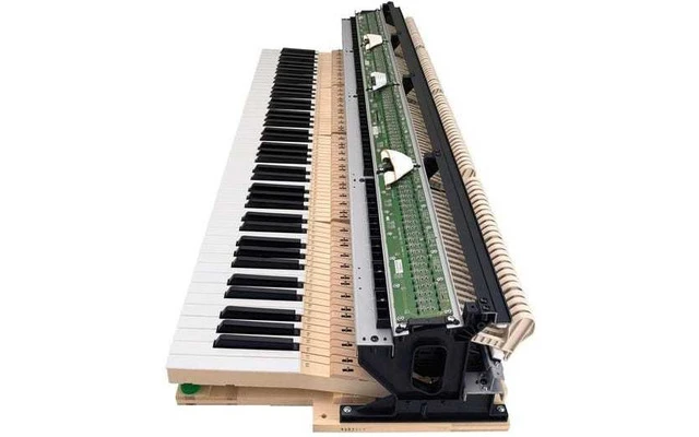 Casio Celviano Grand Hybrid GP-310