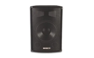 Caja acustica Profesional 10" de 2 vías - VDSG10