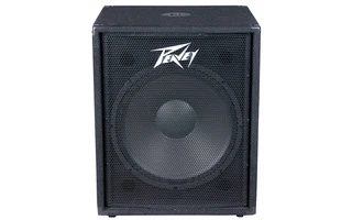 Peavey PV 118 D