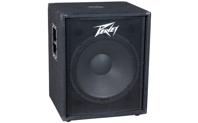 Peavey PV 118 D