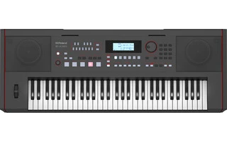 Roland E-X50