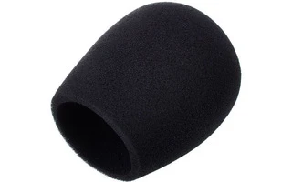Shure A32WS