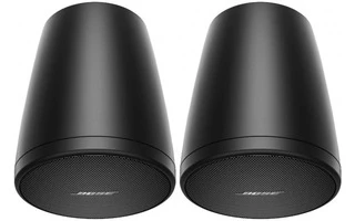 Bose Pro FreeSpace FS2P